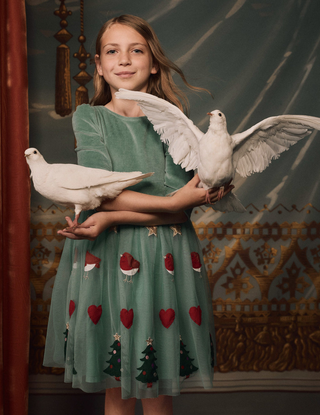 Velour Tulle Appliqué Dress-Robin Motif